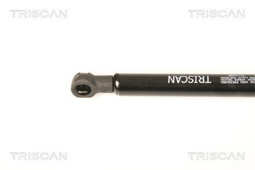 Dujinė spyruoklė, galinis langas TRISCAN 8710 18229