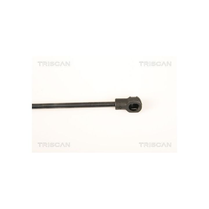 Dujinė spyruoklė, galinis langas TRISCAN 8710 18229