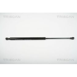 Dujinė spyruoklė, galinis langas TRISCAN 8710 25241