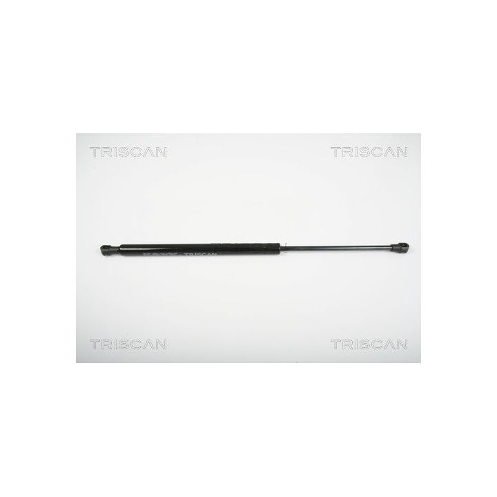 Dujinė spyruoklė, galinis langas TRISCAN 8710 25241