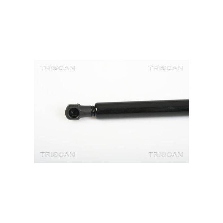 Dujinė spyruoklė, galinis langas TRISCAN 8710 25241