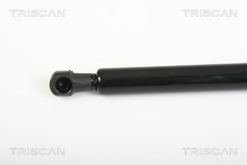 Dujinė spyruoklė, galinis langas TRISCAN 8710 25241