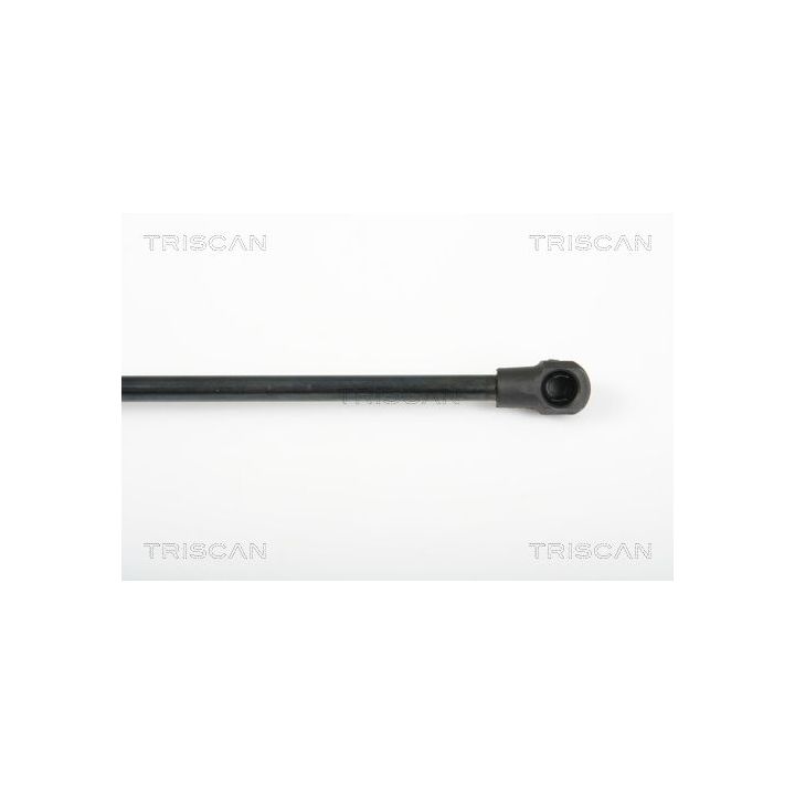 Dujinė spyruoklė, galinis langas TRISCAN 8710 25241