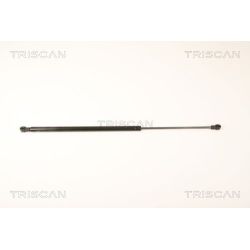 Dujinė spyruoklė, galinis langas TRISCAN 8710 25248