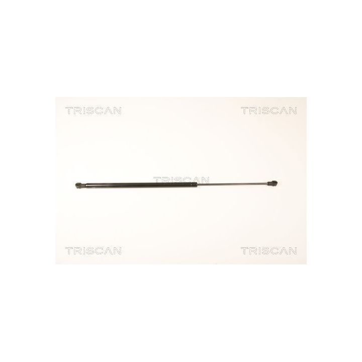 Dujinė spyruoklė, galinis langas TRISCAN 8710 25248