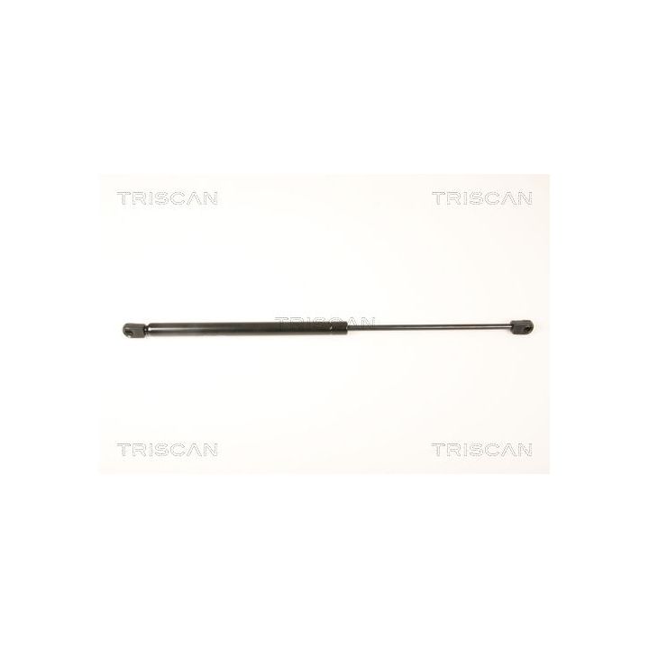 Dujinė spyruoklė, galinis langas TRISCAN 8710 25251