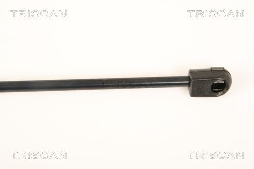 Dujinė spyruoklė, galinis langas TRISCAN 8710 25251
