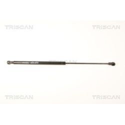 Dujinė spyruoklė, galinis langas TRISCAN 8710 25252