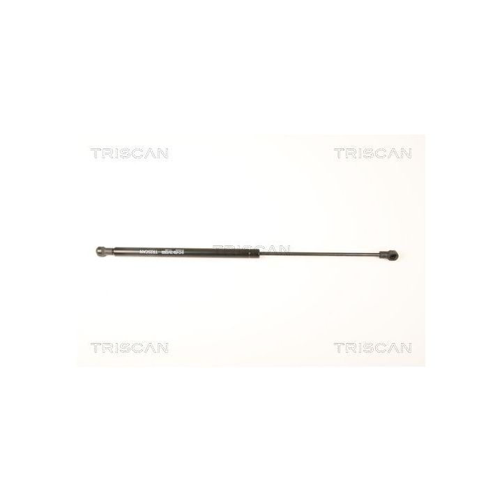 Dujinė spyruoklė, galinis langas TRISCAN 8710 25252