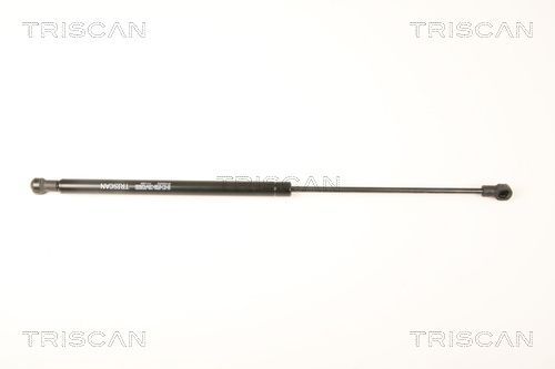 Dujinė spyruoklė, galinis langas TRISCAN 8710 25252