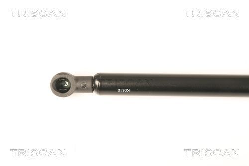 Dujinė spyruoklė, galinis langas TRISCAN 8710 25252
