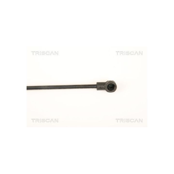 Dujinė spyruoklė, galinis langas TRISCAN 8710 25252