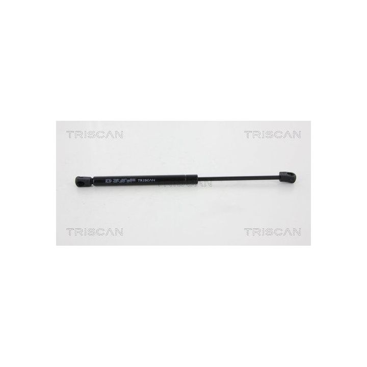 Dujinė spyruoklė, galinis langas TRISCAN 8710 43226