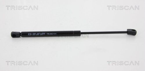 Dujinė spyruoklė, galinis langas TRISCAN 8710 43226