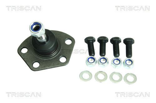 Šarnyras / girgždukas TRISCAN 8500 10503