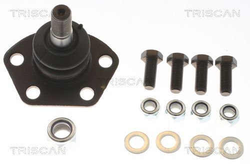 Šarnyras / girgždukas TRISCAN 8500 10504