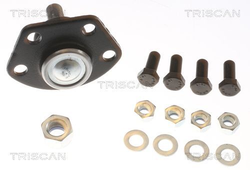 Šarnyras / girgždukas TRISCAN 8500 10504