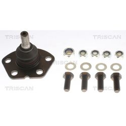 Šarnyras / girgždukas TRISCAN 8500 10519