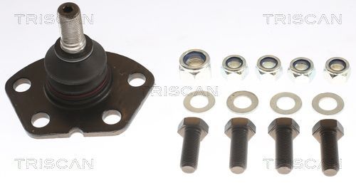 Šarnyras / girgždukas TRISCAN 8500 10519