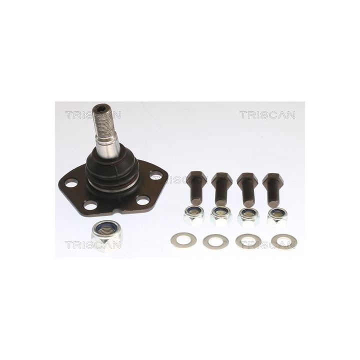 Šarnyras / girgždukas TRISCAN 8500 10520