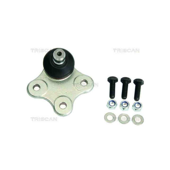 Šarnyras / girgždukas TRISCAN 8500 10556