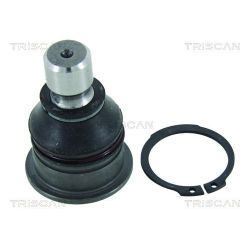 Šarnyras / girgždukas TRISCAN 8500 10581