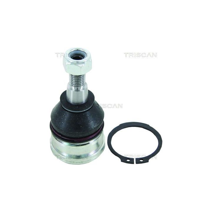 Šarnyras / girgždukas TRISCAN 8500 10584