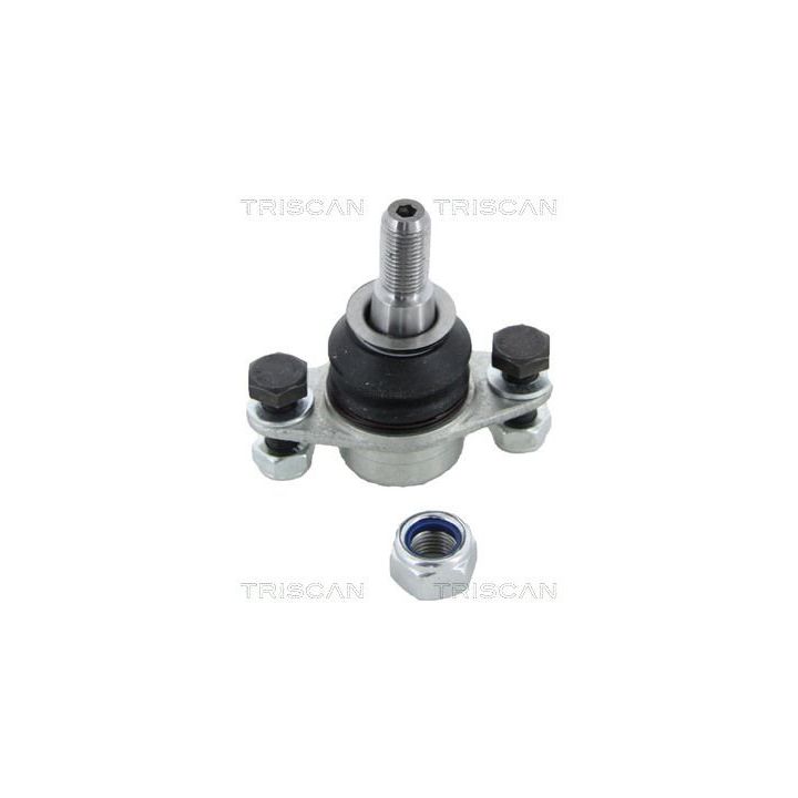 Šarnyras / girgždukas TRISCAN 8500 115036