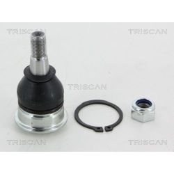Šarnyras / girgždukas TRISCAN 8500 13537