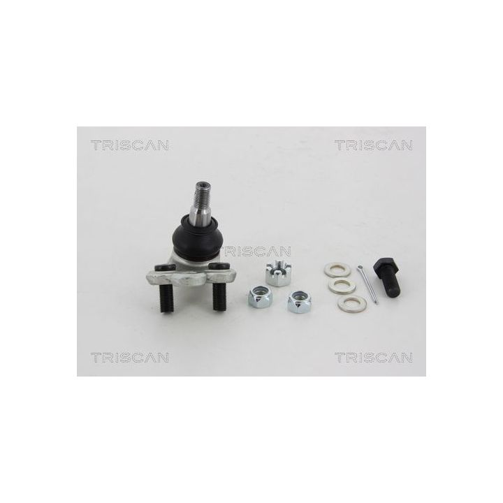 Šarnyras / girgždukas TRISCAN 8500 13567