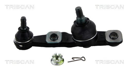 Šarnyras / girgždukas TRISCAN 8500 13570