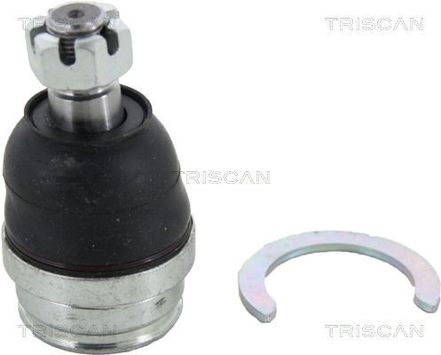 Šarnyras / girgždukas TRISCAN 8500 13591