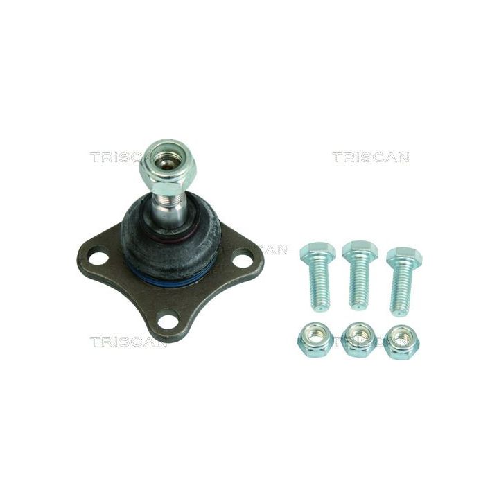 Šarnyras / girgždukas TRISCAN 8500 15511