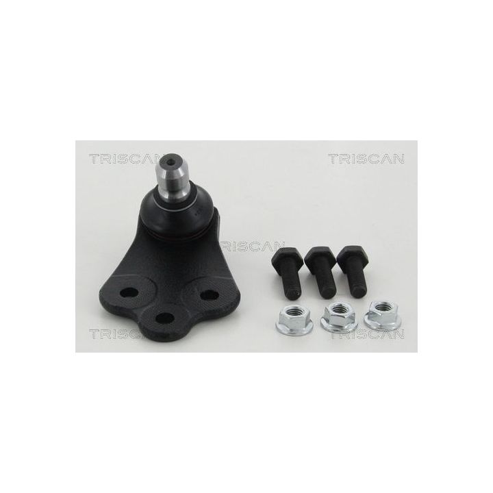 Šarnyras / girgždukas TRISCAN 8500 15512