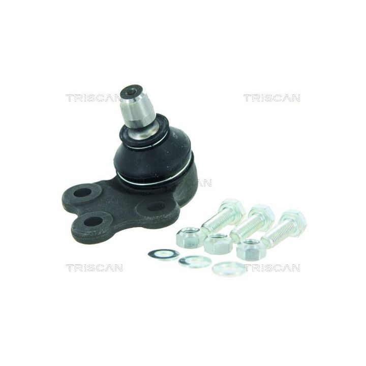 Šarnyras / girgždukas TRISCAN 8500 15569
