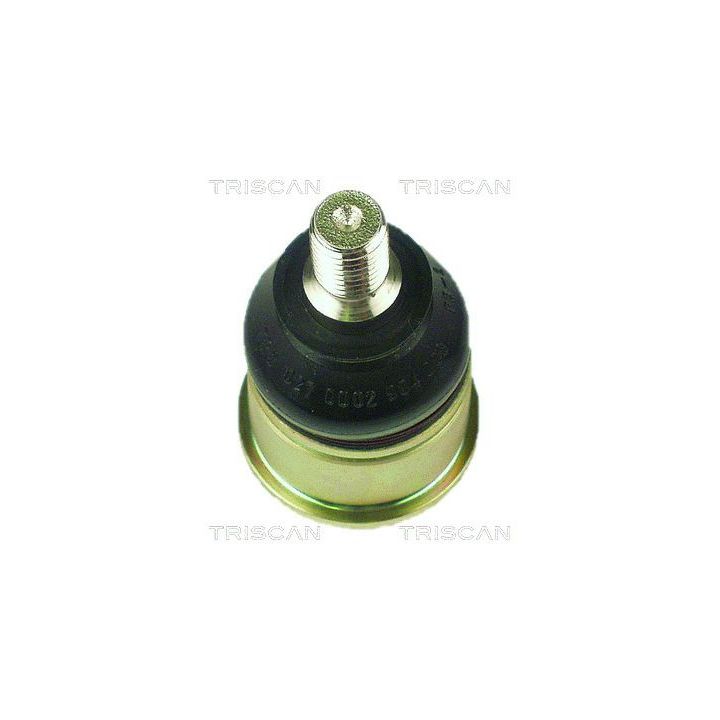 Šarnyras / girgždukas TRISCAN 8500 17502