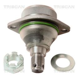 Šarnyras / girgždukas TRISCAN 8500 17505