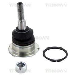 Šarnyras / girgždukas TRISCAN 8500 17510