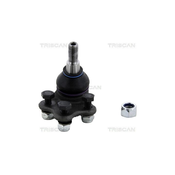 Šarnyras / girgždukas TRISCAN 8500 17519