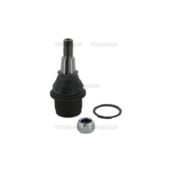 Šarnyras / girgždukas TRISCAN 8500 17531