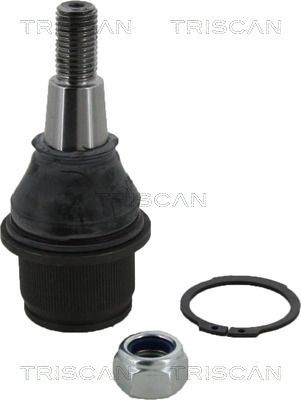 Šarnyras / girgždukas TRISCAN 8500 17531