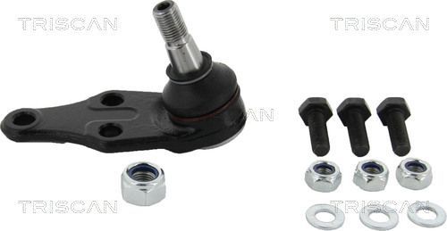 Šarnyras / girgždukas TRISCAN 8500 17539