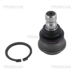 Šarnyras / girgždukas TRISCAN 8500 18537