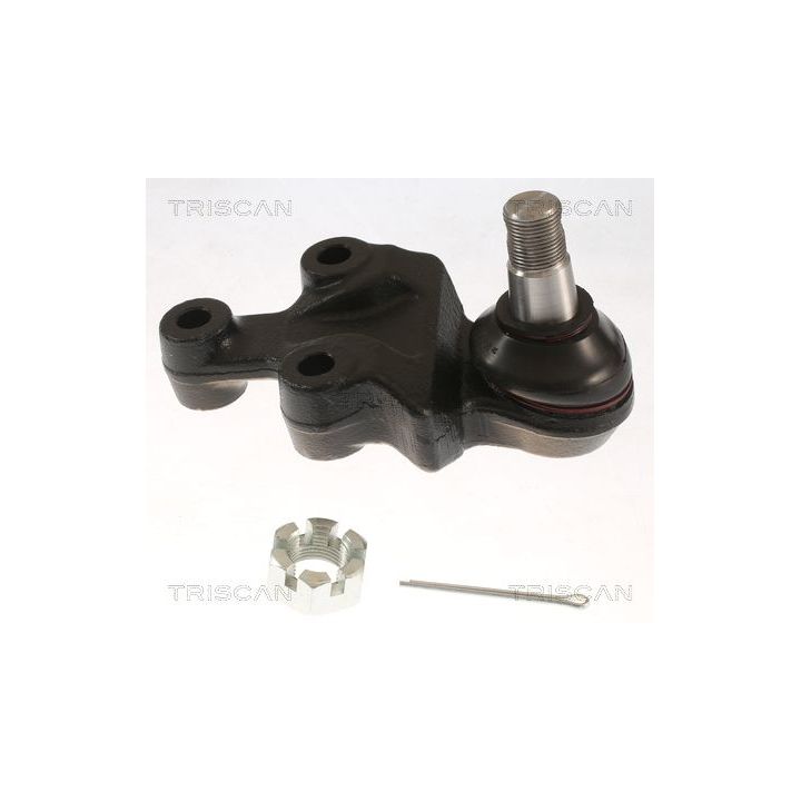 Šarnyras / girgždukas TRISCAN 8500 18543
