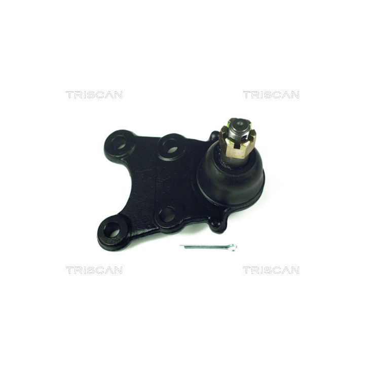 Šarnyras / girgždukas TRISCAN 8500 20503