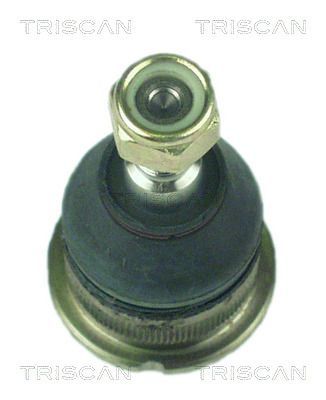 Šarnyras / girgždukas TRISCAN 8500 25501