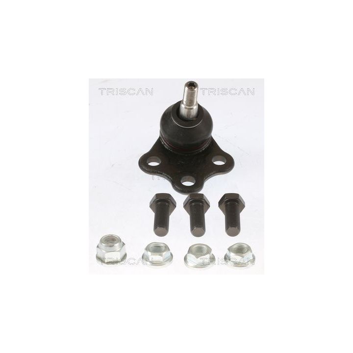 Šarnyras / girgždukas TRISCAN 8500 255010
