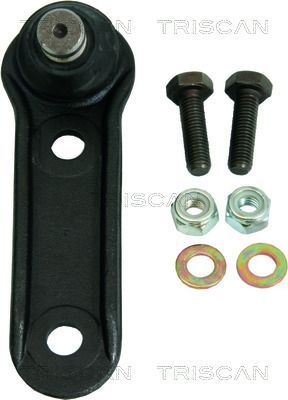 Šarnyras / girgždukas TRISCAN 8500 25525