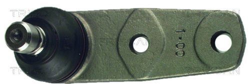 Šarnyras / girgždukas TRISCAN 8500 2555