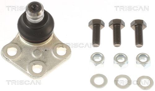 Šarnyras / girgždukas TRISCAN 8500 25556